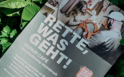 Kleinstadtbiotop Vöcklabruck