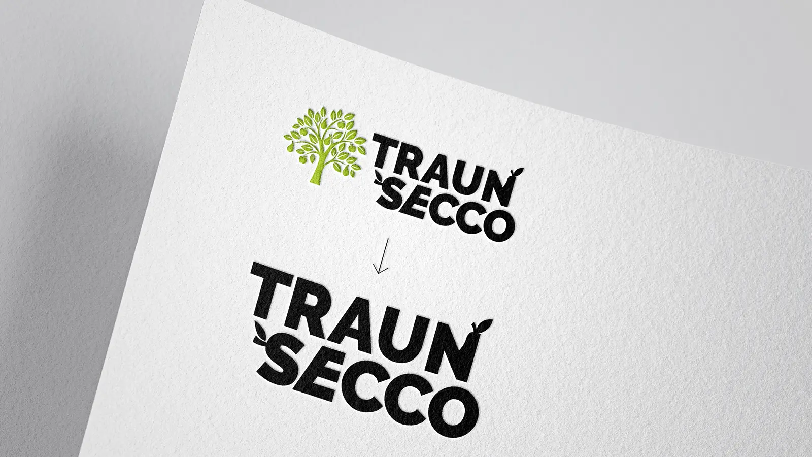 Traunsecco Logo