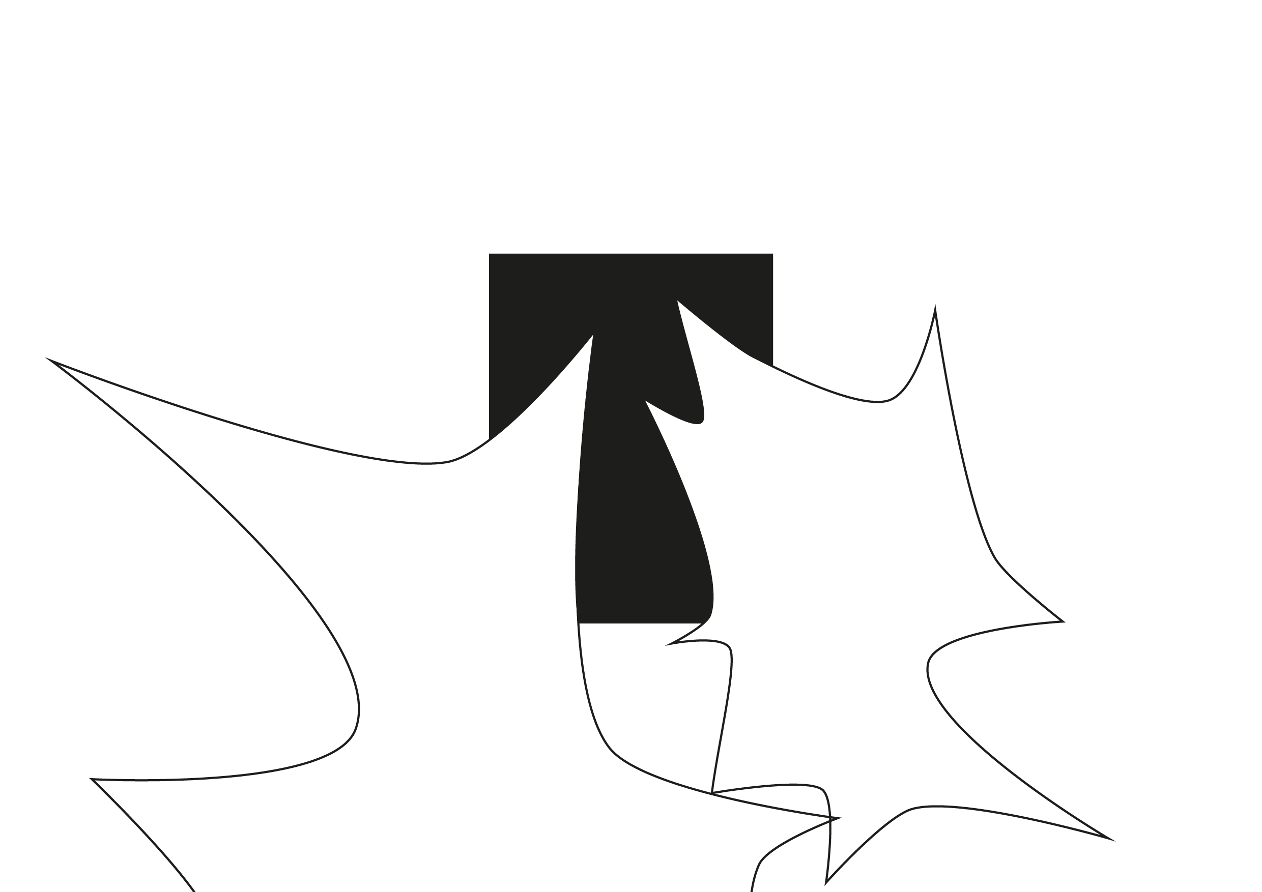 Form