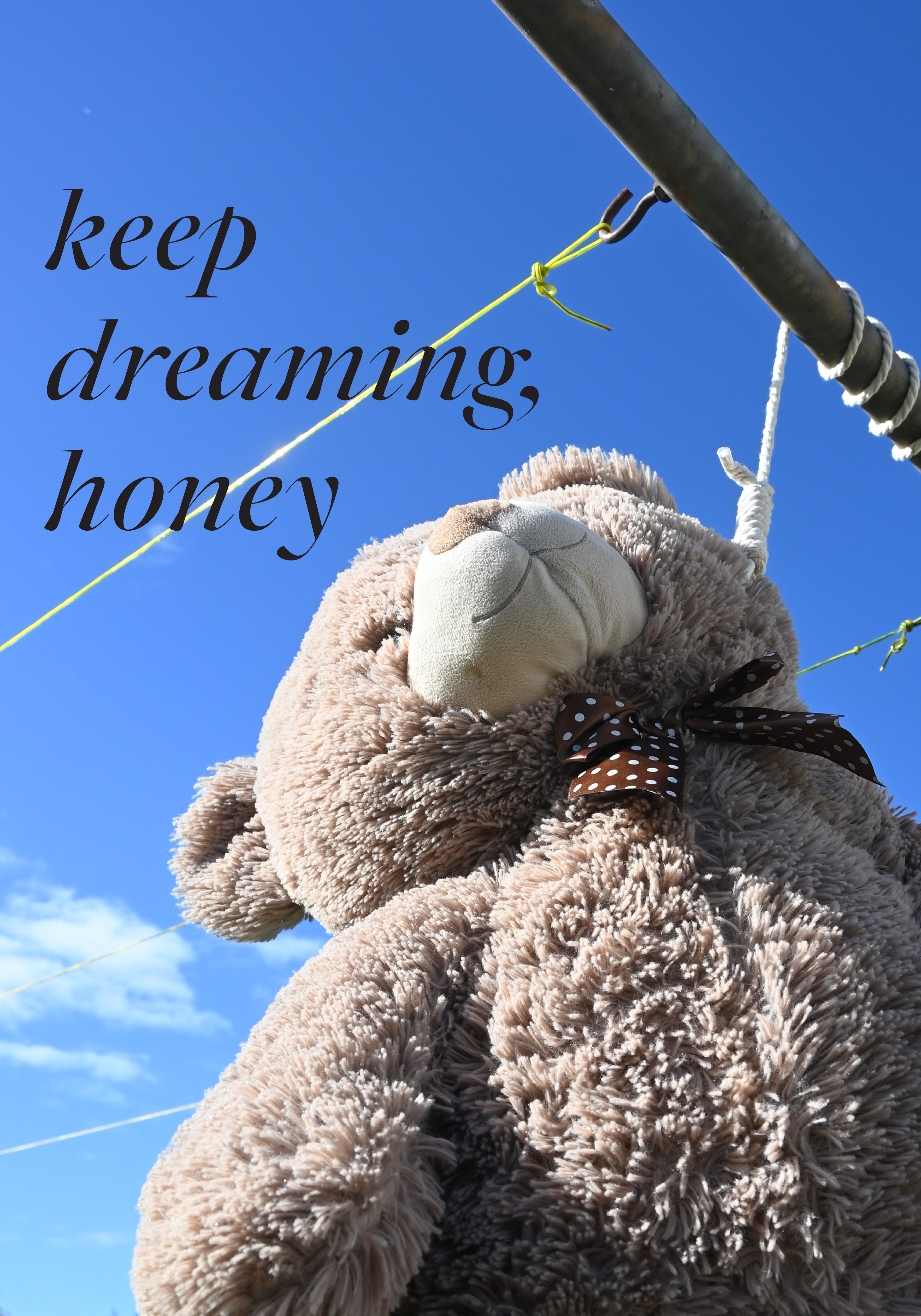 wut_plakatausstellung-daichendt_bear